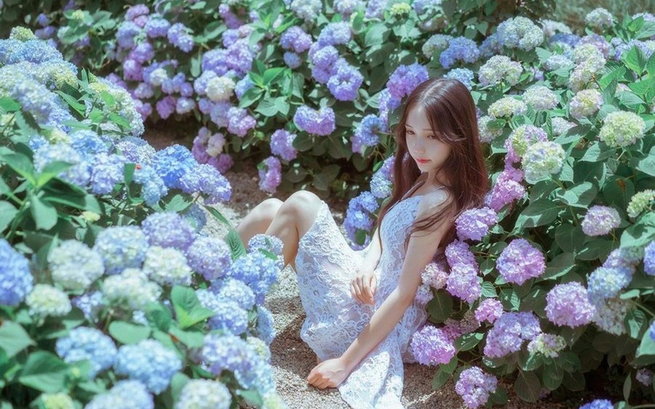 第十一批国家组织药品集中采购相关药品信息填报工作启动